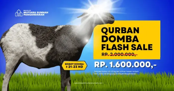 Flash Sale Qurban Domba Hemat Hanya 1,6 Juta (PROMO TERBATAS)